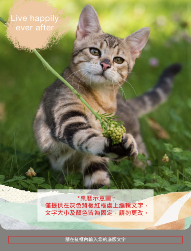 花樣年華
