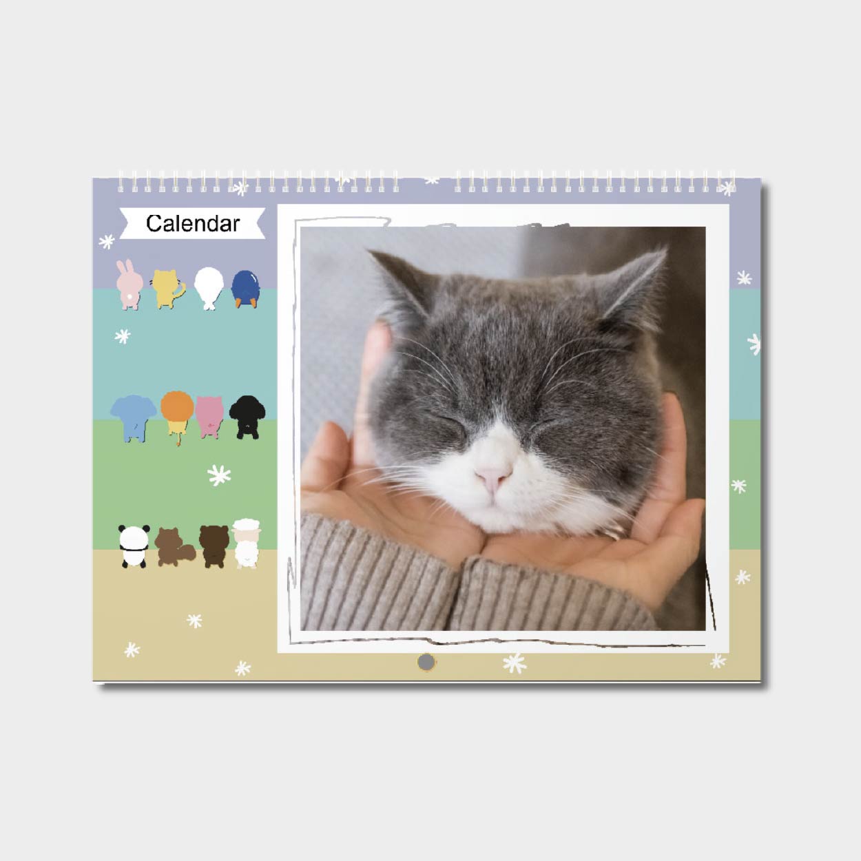 動物球球